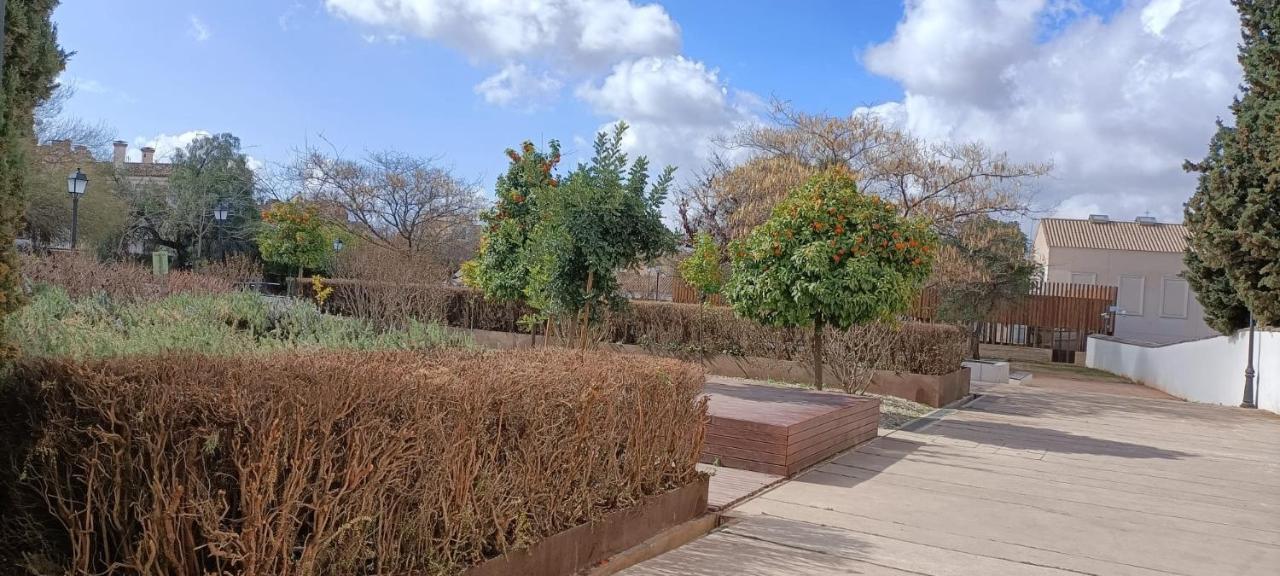 Casa Lisa - Centro - Realejo Lägenhet Granada Exteriör bild
